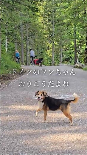 🇩🇪ミュンヘンからのフライトが夕方以降のとき、私ならこう過ごす【ドイツ・アイプゼー】 #旅行 #ドイツ #湖
