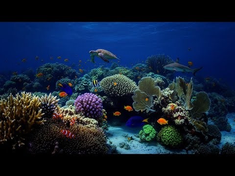 Deep Sleep Music and Gentle Underwater Echoes for Emotional Healing