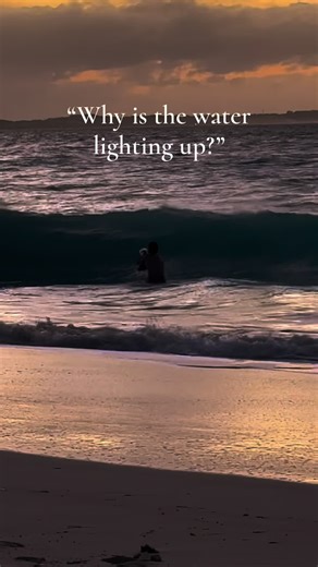 The window for shots like this is always smaller than it looks. Just after sunset when there is enough color in the sky and the ocean is dark enough to light up the water with a flash. The moment is fleeting, most days I leave without a keeper, but thats what makes it so addicting to keep coming back. Shot using @aquatech_imagingsolutions housing and flash set up (Nikon D750 with 15mm fisheye) #wavephotography #flashphotography #oceanphotography #underwaterphotography #waterhousing