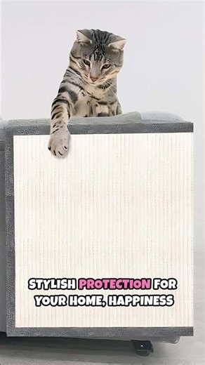 Stop The Scratching: Stylish Cat Scratcher That Saves Your Sofa (DR Home Co. Review)