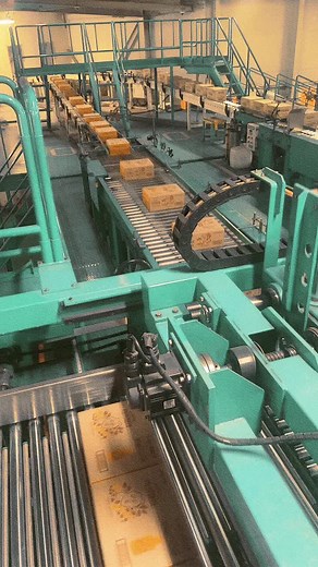 Conveyor System Operations in Industrial Warehousing