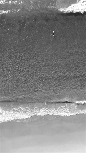  Stunning aqua ocean, ️ white sandy beaches & point breaks for beginners and advanced  keeps surfers from all over coming back to Noosa for more! | Noosa Hill | Facebook