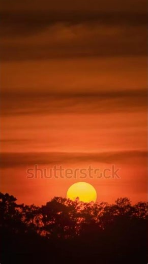 SMS Broadcast Software Free|add telegram:MY911SMS