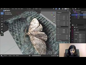 3D Moth animation in blender