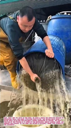 Simple Fish Sorting Drum Machine | Small Fish Separation Process.