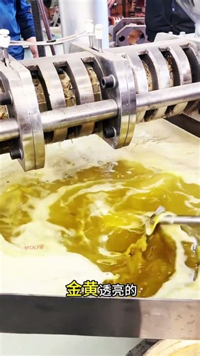 #fcnfm How to Use an Oil Press Machine for Sustainable Farming