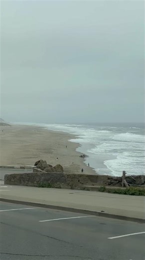 Where the City meets the Pacific: Misty Ocean Beach 🌊☁️ #Shorts