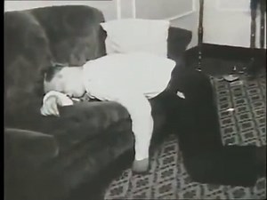 Al Capone Chicago's Most Infamous Mob Boss