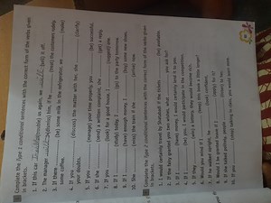 in brackets.Complete the Type 1 conditional sentences with the... | Filo