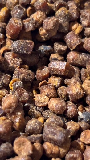 Check out this yummy beautiful bee bread. It’s so soft, fresh and delicious. Bee bread is made by the bees, taking pollen and topping it with honey. Letting if ferment and become pure magic, food source for newly hatched bees and medicine for us, humans. Love!💗🐝💗 #RoundLakeFarm #FarmLifeVibes #yummyfood #beebread #beekeeping #beekeeper #beekeeperslife #farmlife #farmlifeisthebestlife #farmlifebestlife #savethebees | Round Lake Farm