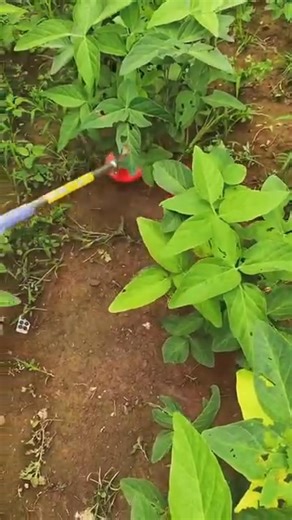 🌱Quick and effective weed removal! Save time during busy seasons!🌾 https://hunanjiazhou092.com/product/50k-sold-almost-gone-weeding-disc.html | Wtaii-shop