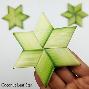 Make Stars From Coconut Leaves⭐️ Easy Coconut Leaf Craft Ideas🌴 Craft Activities With Real Leaves😍 | Creative Art & Craft Ideas