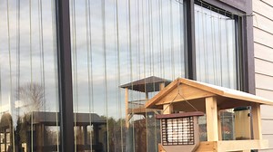 Birds crashing into windows: How to help them avoid collisions | Ripples from the Dunes