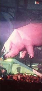 🐷 Pink Floyd's ANIMALS - The Darkest Floyd Album Ever Made 🎸