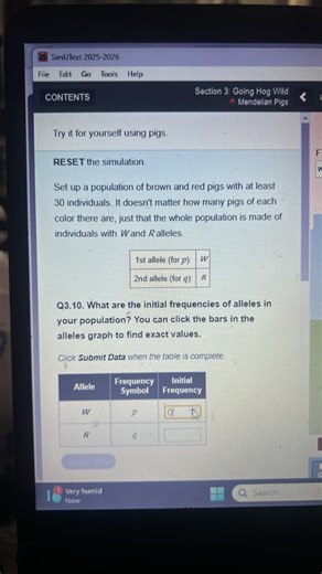 Q3.10. What are the initial frequencies of alleles in your popu... | Filo