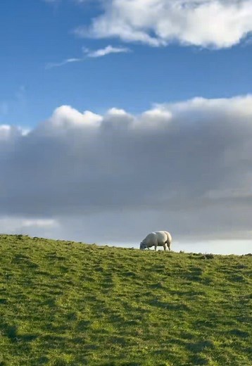 Exploring Ireland's Natural Beauty and Culture