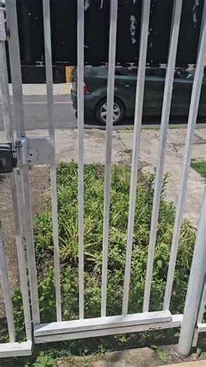 22 reactions · 4 comments | 30 dias pós Car-T Cell do Victor, um mês...