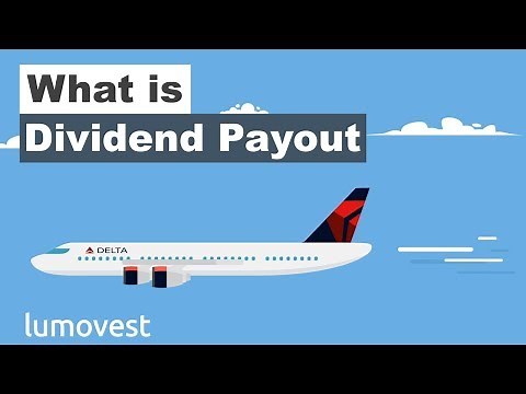 What is the Dividend Payout Ratio | Lumovest