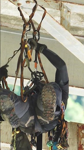 【インフラ高所点検】ロープアクセスによる橋梁点検