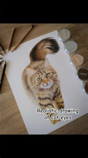 Realistic Cat Eyes - Colored Pencil Drawing #cateyes #catdrawing #coloredpencils #catportrait #cat