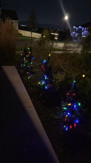 Mini LED Christmas trees to light up your holiday yard #tiktokshopcreatorpicks