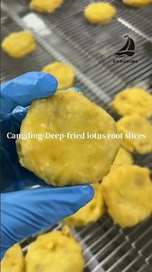 Deep-fried lotus root slices#machine