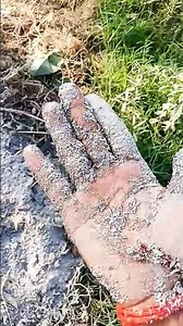 🧼🧼🧼Những Vật Dụng Đa Năng & Tiện ích Trong Đời Sống Hiện Đại #1231