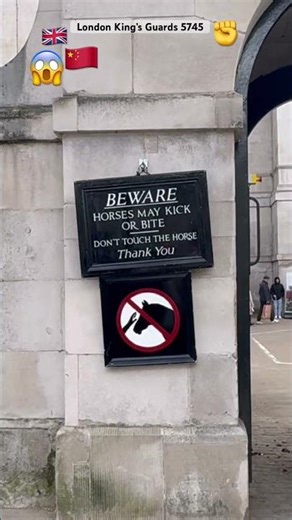 😱Extreme Risk: Chinese Tourist Enters King’s Guard Horse Area