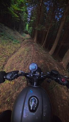 Exploring the Wild Trails Around Mt. Fuji. 🗻🇯🇵 Enduro Adventure Philippines Royal Enfield Grit LABL #RoyalEnfield #RoyalEnfieldPhilippines #Hunter350 #PureMotorcycling | AMORR