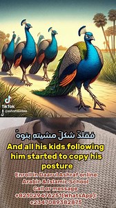 1.8K views · 148 reactions | دار الأشرف للدراسات العربية والإسلامية...