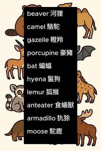 10個動物英文｜中英對照懶人包 #english #englishteacher #englishspeaking