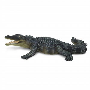 Crocodile Toy