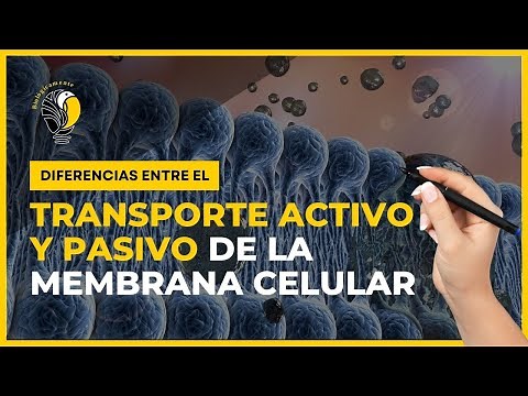 ACTIVE and PASSIVE TRANSPORT of the cell membrane 🔥 🔥 🔥