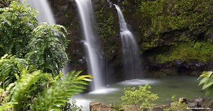 Maui Private Hiking Tour - Guided Rainforest & Waterfall Hike
