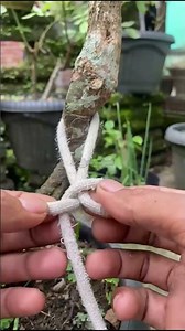 You Won’t Believe This Easy Tree-Tie Trick!