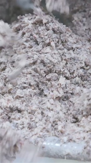 Come Si Prepara Il Tradizionale Haggis Scozzese #cucina #haggis #cibo | Insider Italiano