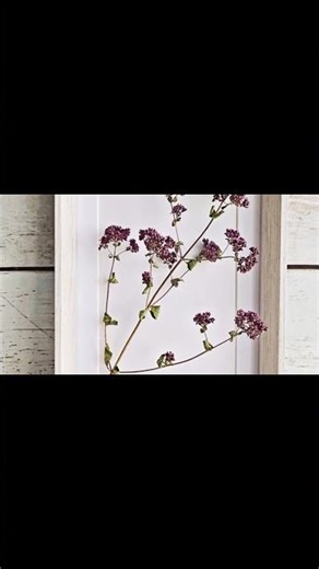 How Nature Wall Art Transforms Small Spaces