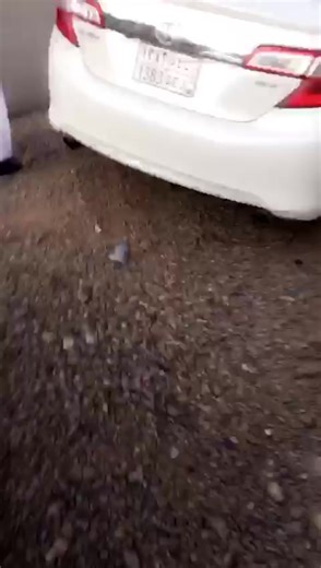 فيديوهات أنشأها صادق الكلبي (@sfj.2024) باستخدام الصوت الأصلي - صادق الكلبي