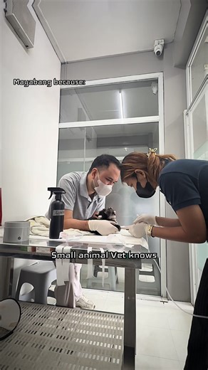 Understanding X-Ray Vision in Veterinary Medicine