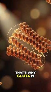 GLUT4: The Protein Controlling Your Blood Sugar! #shorts