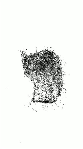 CRIS WAR on Instagram: "data_fox #newmediaart #codecore"