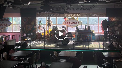 Las Vegas Karaoke Cam