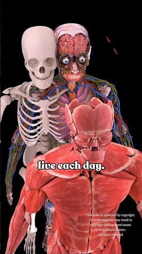 All Human Body Systems | Male Anatomy ♂️✨