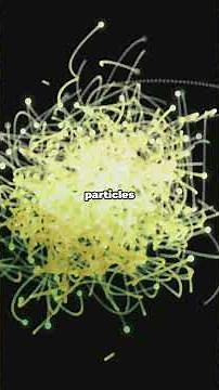 quantum physics theory of the universe #quantum #physics #theory