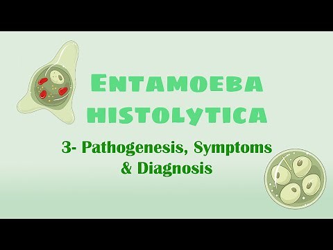Entamoeba histolytica 3 (pathogenesis, symptoms, diagnosis)