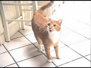 Shortest Video on Youtube Part 4