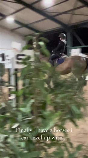 Men cros machine!🥺 1m lukte ons nog maar hoger ging niet meer !🤍 Panache van de noorwateringshoeve!💓 #fyp #goldenhorse