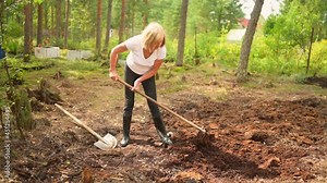 Elderly senior gardener woman digging caring ground level at summer farm countryside outdoors using garden tools rake and shovel. Farming, gardening, agriculture, retired active old age people concept