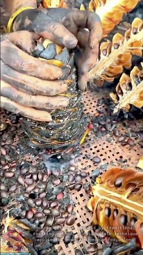 | Traditional Palm Fruit Roasting for Easy Seed Extraction #tools #shorts #viral