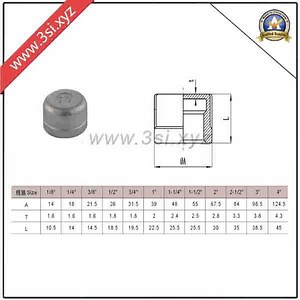 [Hot Item] Stainless Steel Threaded Round Cap (YZF-F312)